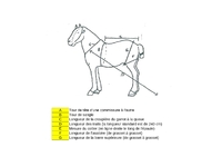 feuille de mesure